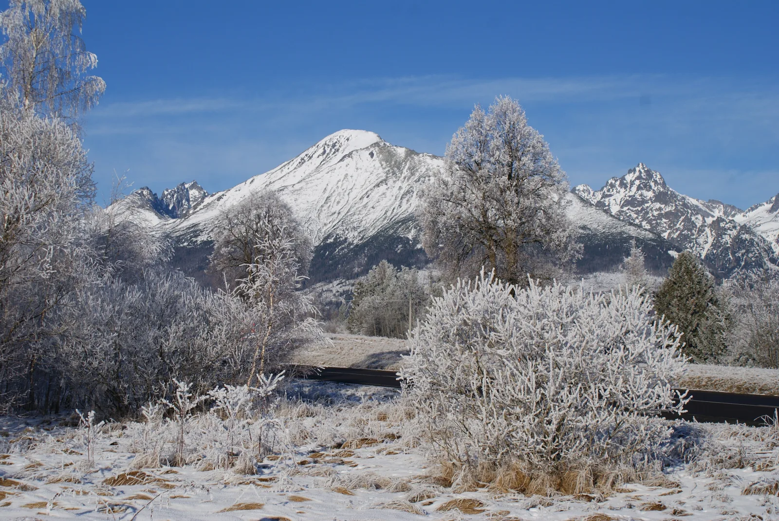 Zasnežený Slavkovský štít nad stromami pokrytými námrazou