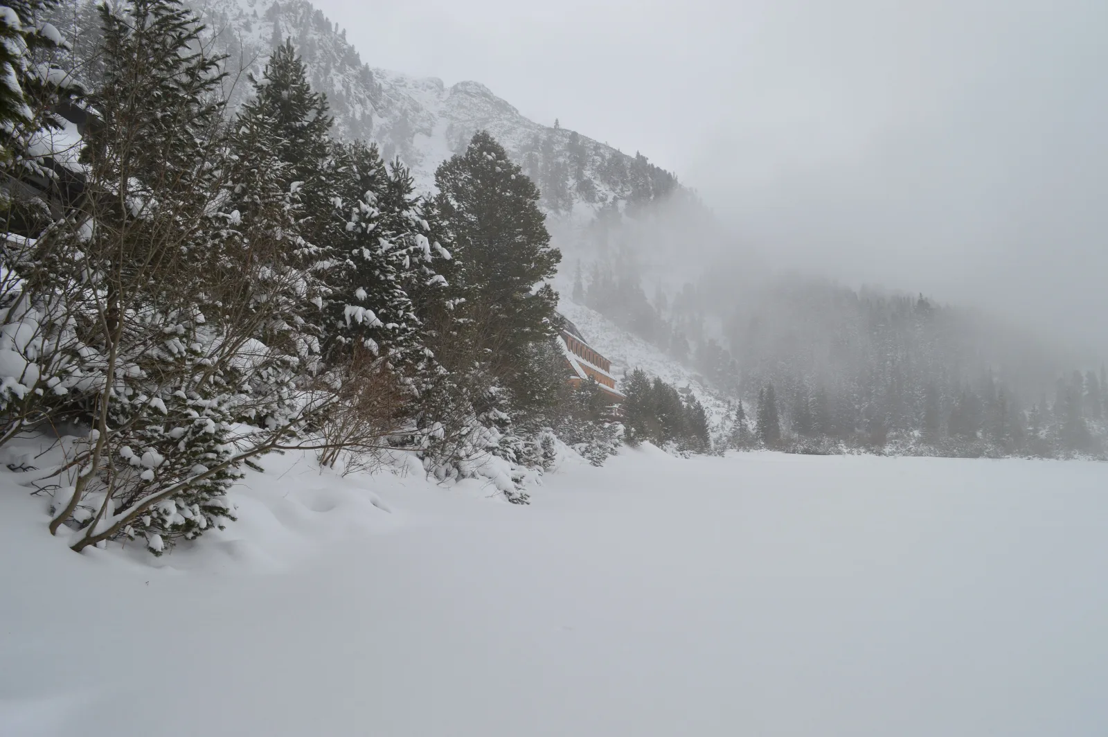 Zasnežené Popradské pleso so smrekmi a hmlou nad Mengusovskou dolinou